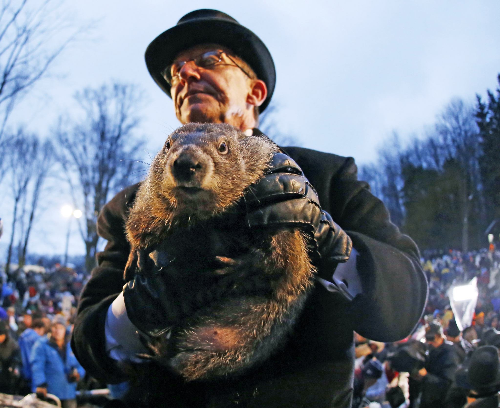 Día de la Marmota Phil en Pensilvania: ¿estará cerca el final del